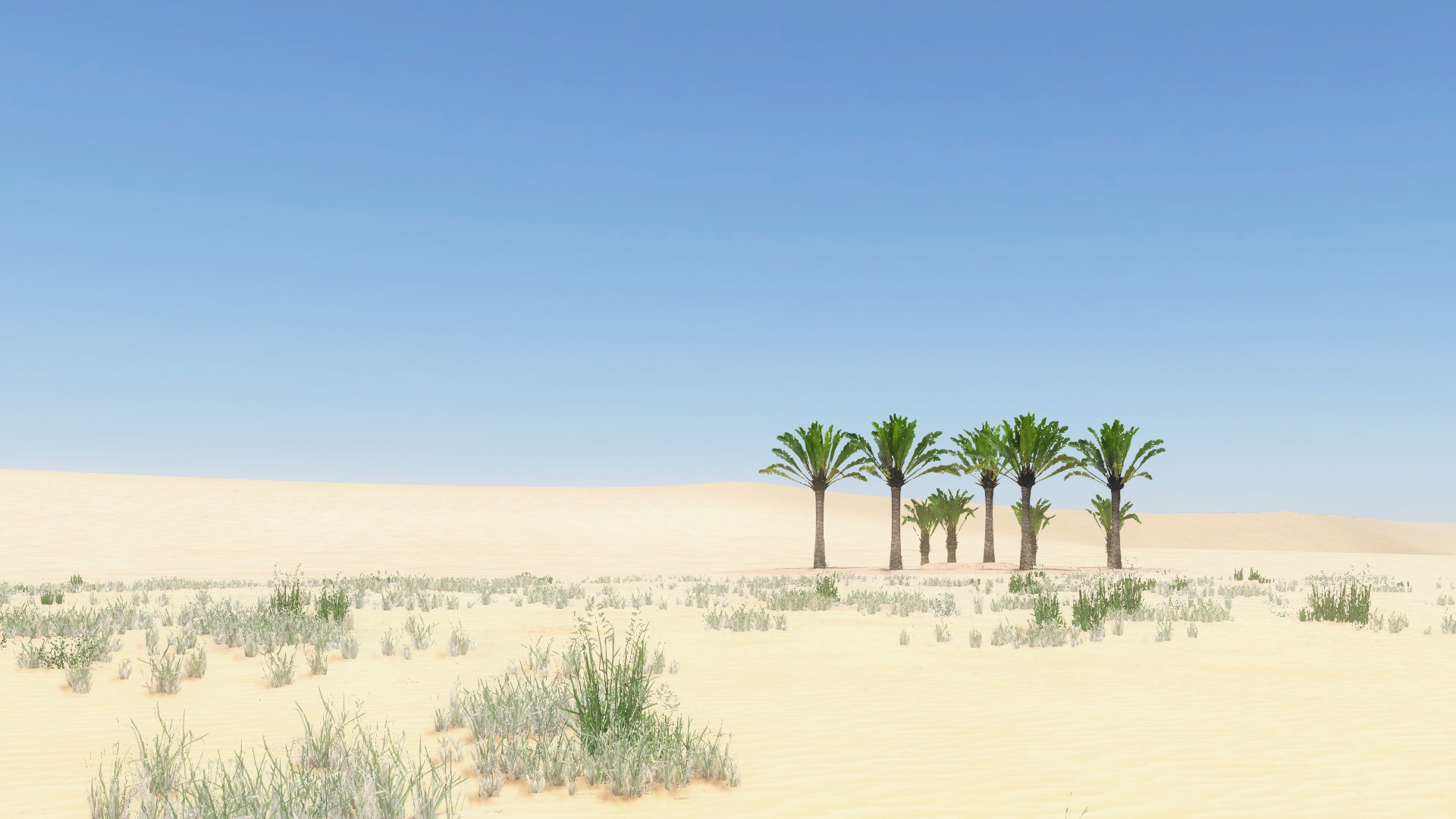 A grove of palms on the sand dunes - a mirage