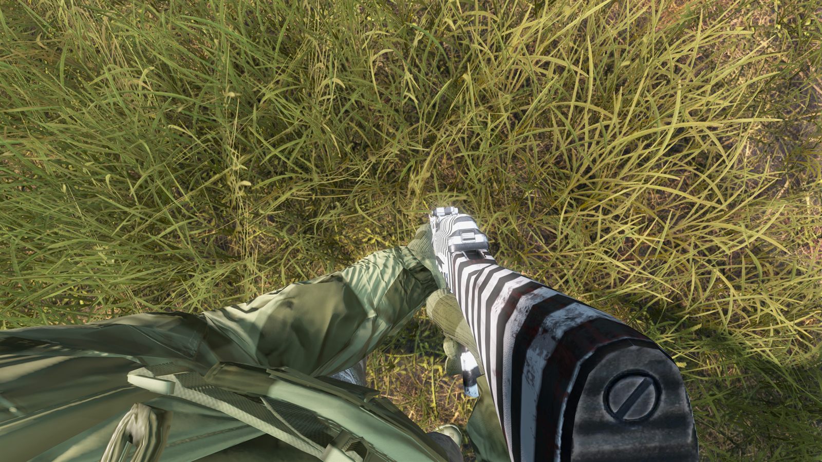 First person view down a black and white striped rifle in tall grass